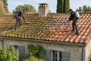 démoussage de toiture : comparez le nettoyage manuel et le traitement chimique pour choisir la méthode la plus adaptée à votre toit.