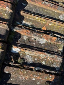 Tuiles moisies